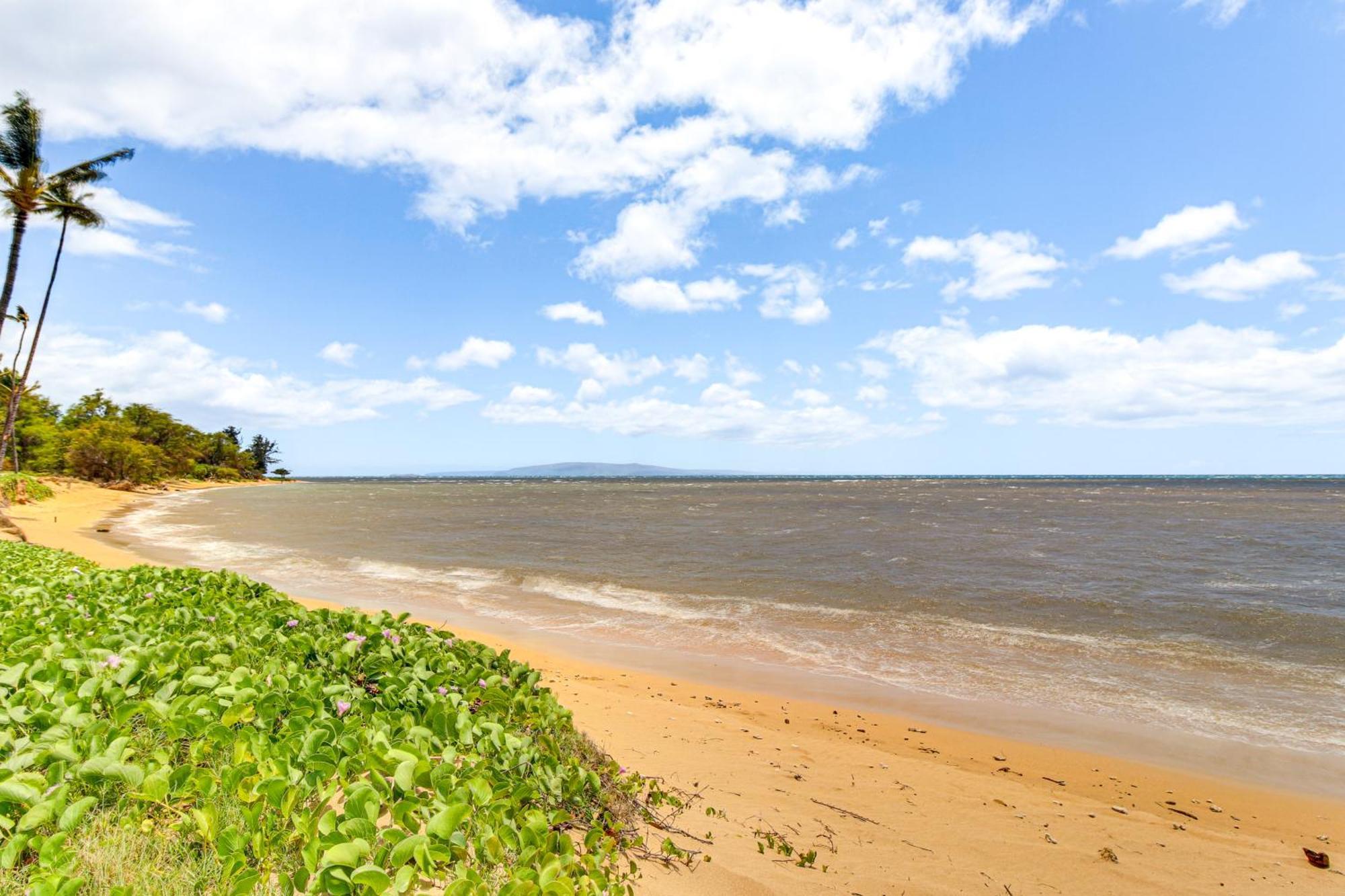 Gorgeous Oceanfront Condo With Spectacular Views! كيهي المظهر الخارجي الصورة