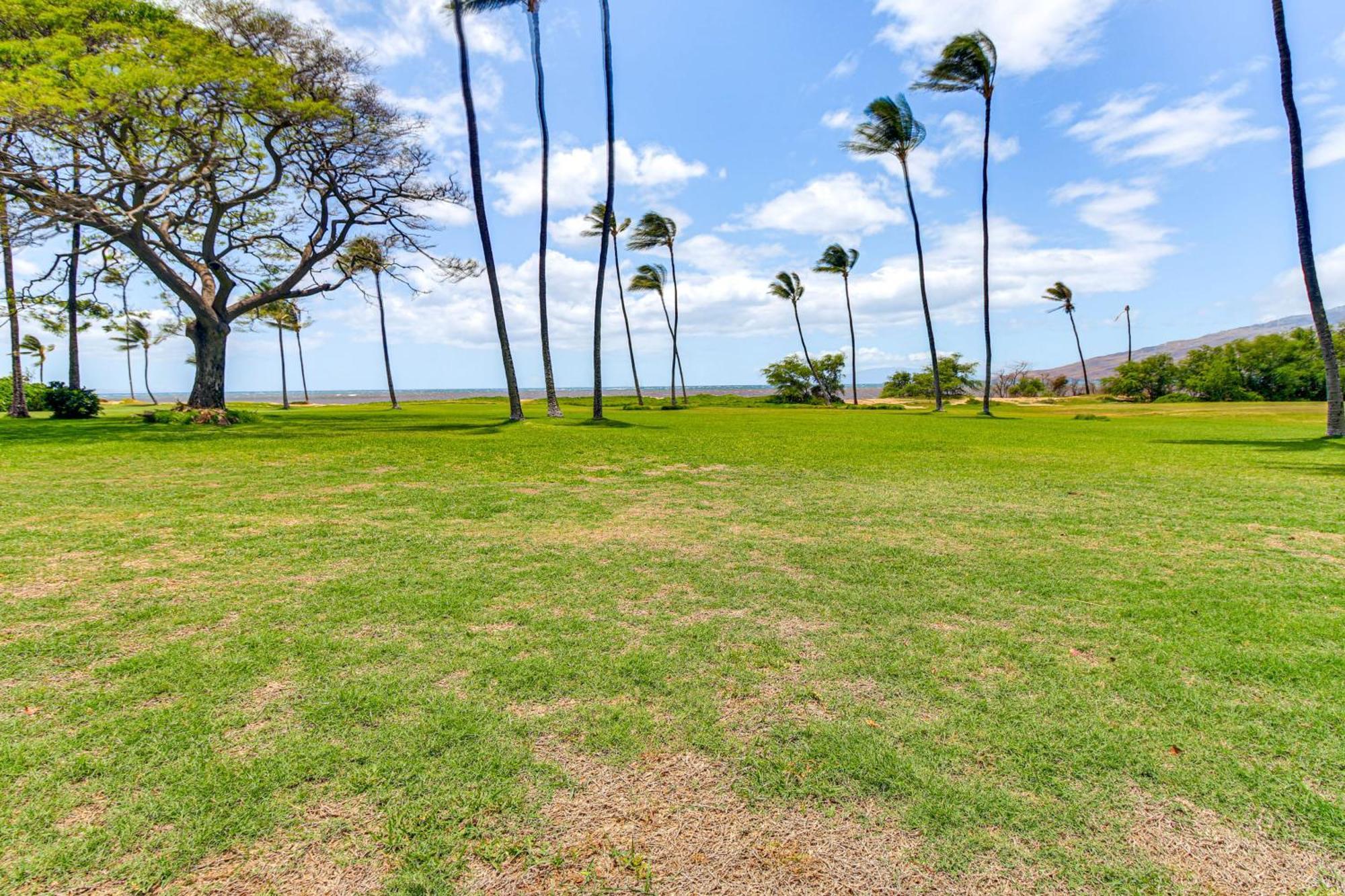 Gorgeous Oceanfront Condo With Spectacular Views! كيهي المظهر الخارجي الصورة